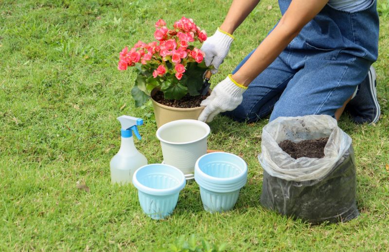 Small Garden Landscaping in Honolulu, HI