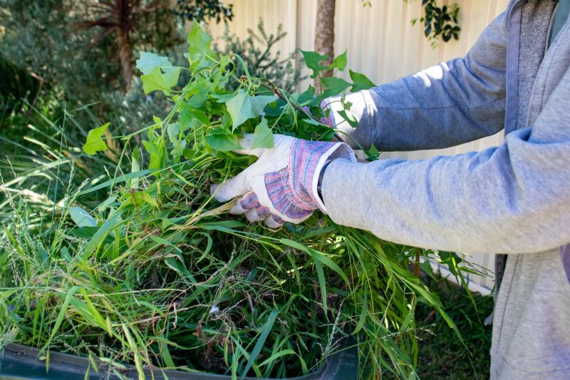 Spring Yard Clean Up Service in Honolulu, HI