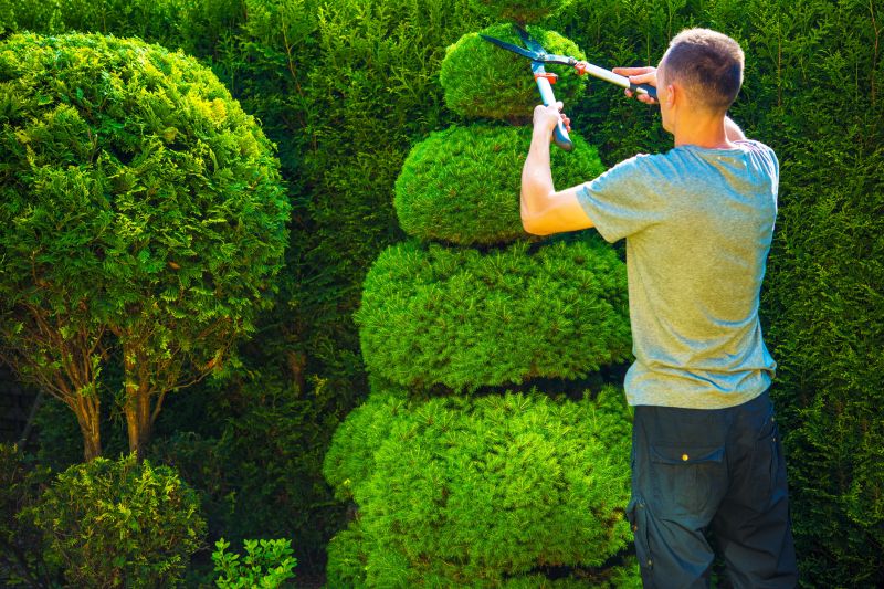 Topiary Shaping in Honolulu, HI