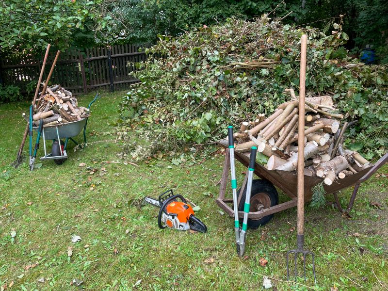 Tree Branch Disposal in Ventura County, CA