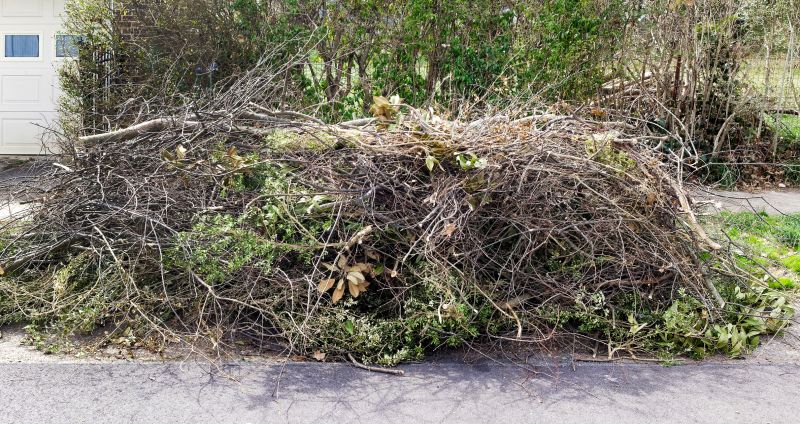 Tree Branch Disposal in Honolulu, HI
