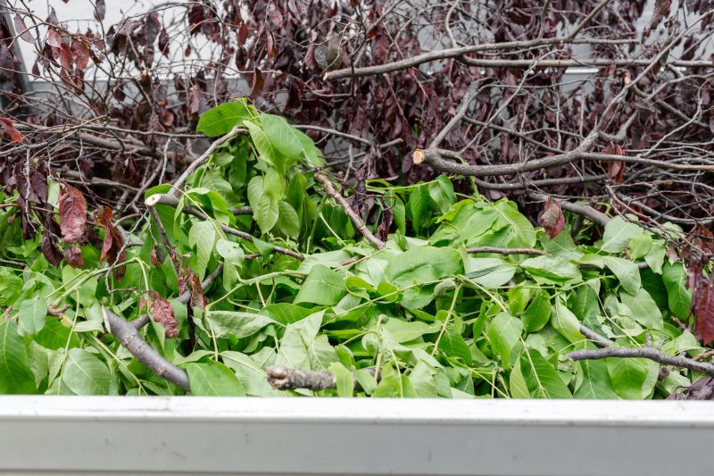 Tree Branches Removal in Honolulu, HI