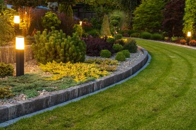 Tree Edging Installation in Honolulu, HI