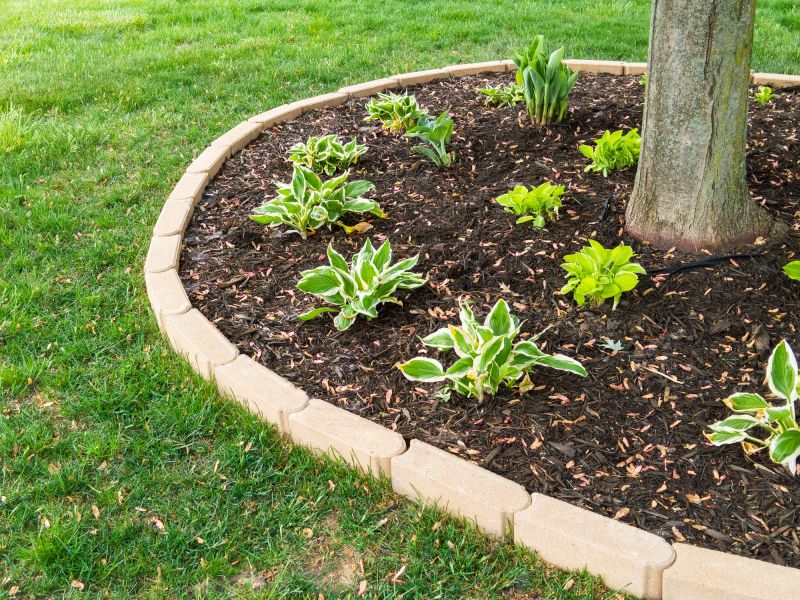 Tree Edging Installation in Honolulu, HI