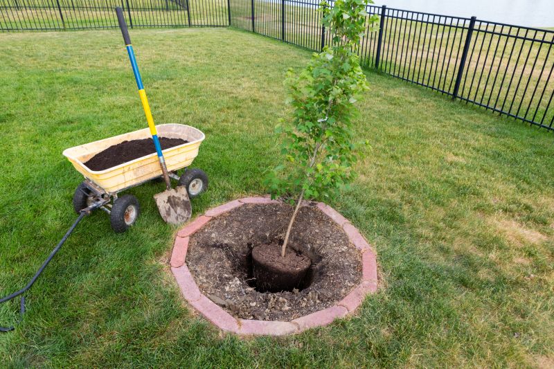 Tree Landscaping in Honolulu, HI