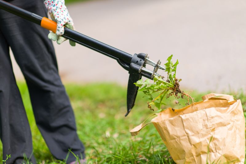 Tumbleweed Removal Equipment