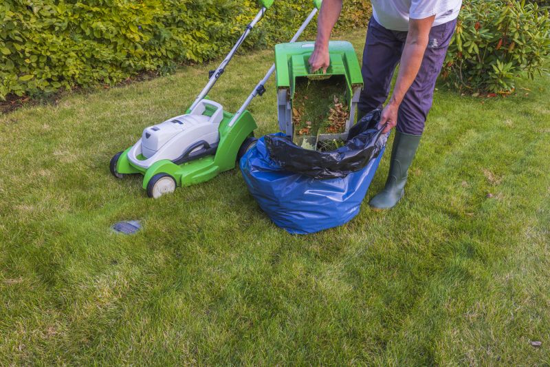 Yard Cleanup Service in Ventura County, CA