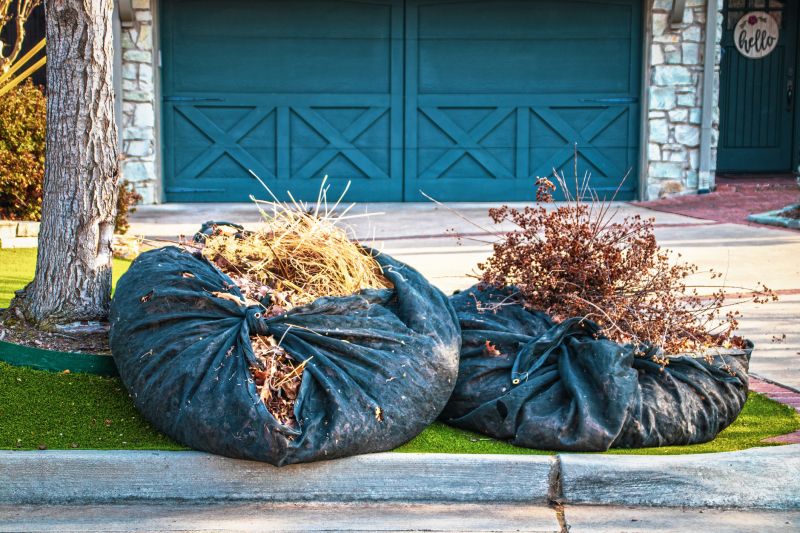 Yard Debris Removal in Ventura County, CA
